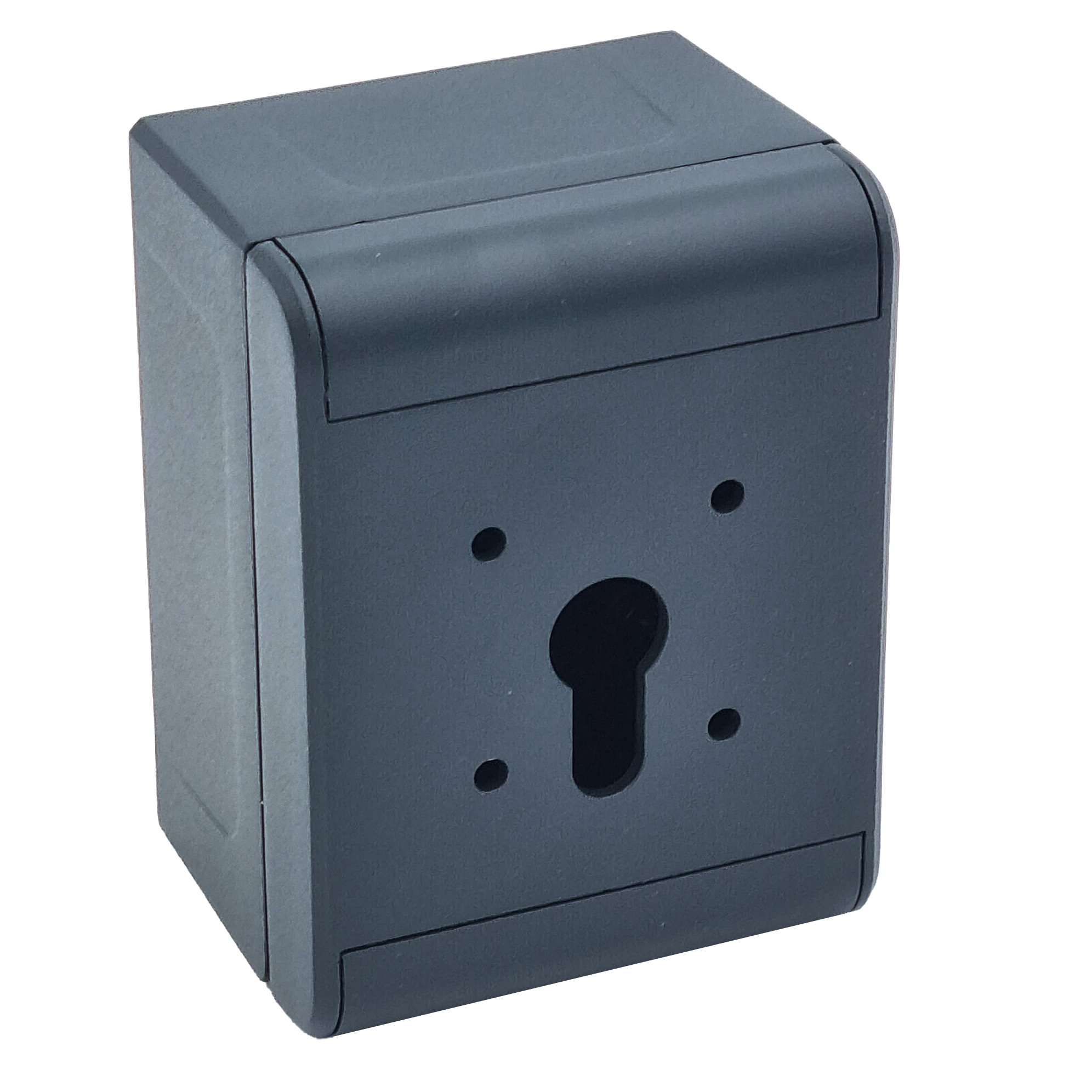 Enclosure for key switches with profile half cylinder, anthracite, 90x120x70, 605g, IP66, drilled to fit Kraus & Naimer key switches with profile half cylinders and one contact module