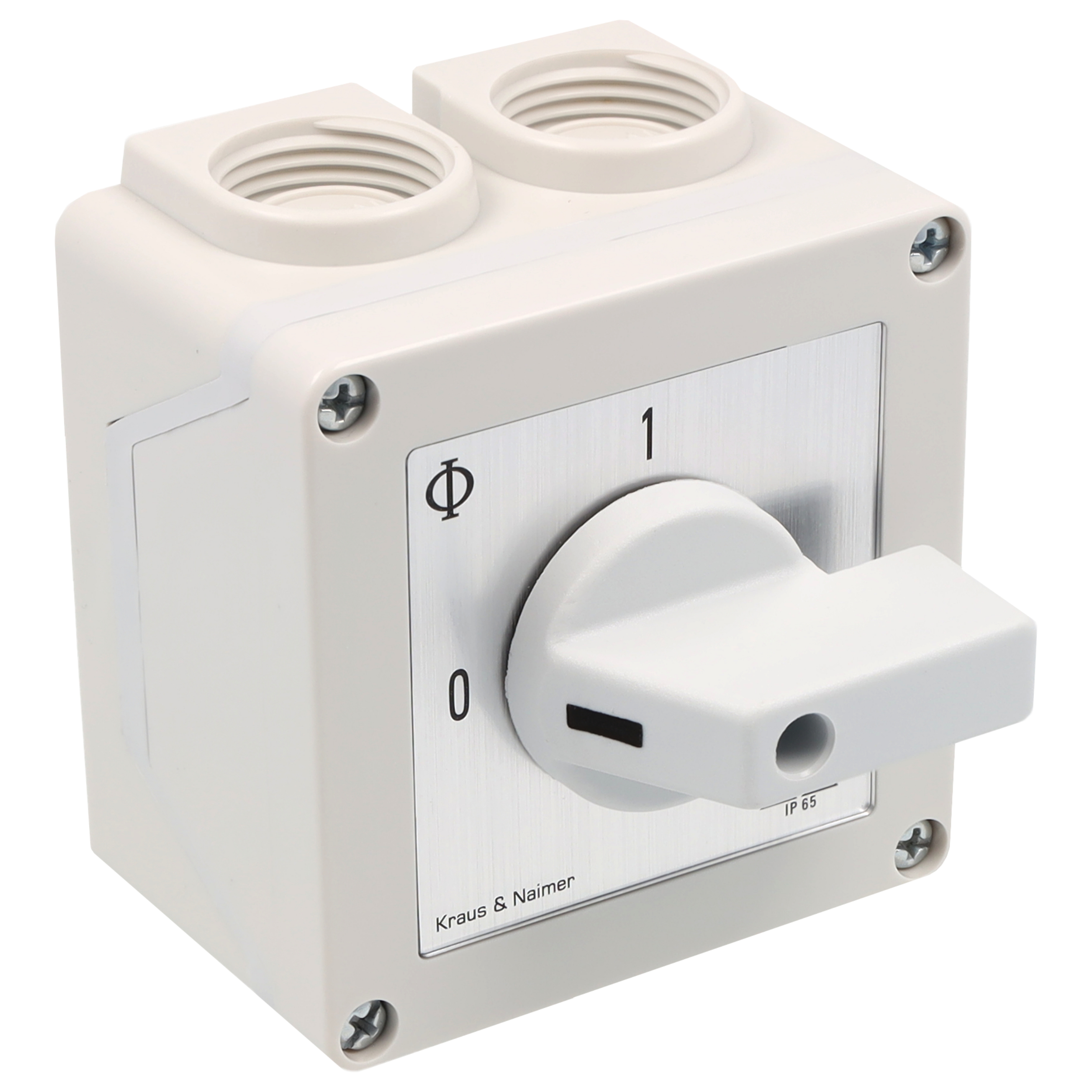 ON/OFF switch; 2-pole; 0-1; Plastic housing